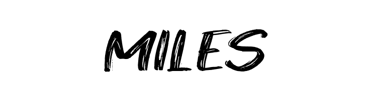 West Fighter  Free Fonts Download