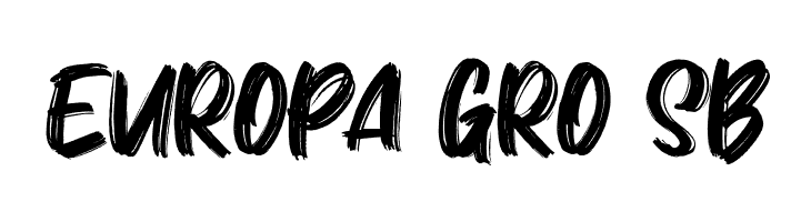 Zidan  Free Fonts Download
