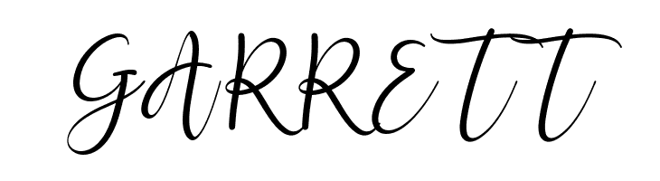 Jettiares Free  Free Fonts Download