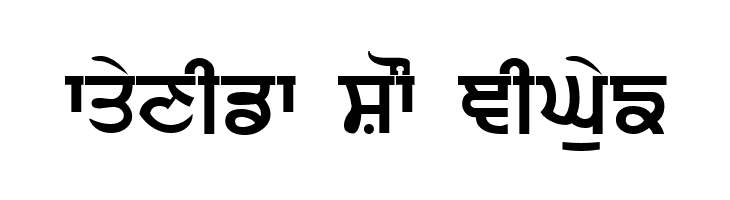 Punjabi  Bold  Free Fonts Download