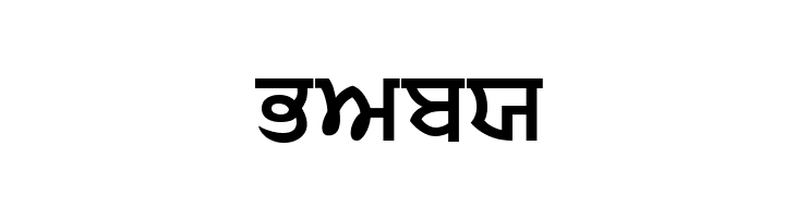 Punjabi  Bold  Free Fonts Download