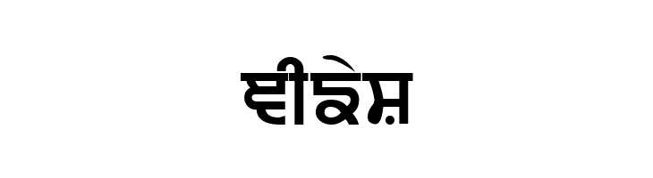 Punjabi  Bold  Free Fonts Download