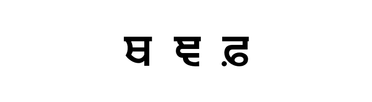 Punjabi  Bold  Free Fonts Download