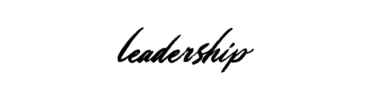 Hollywood Festival  Free Fonts Download