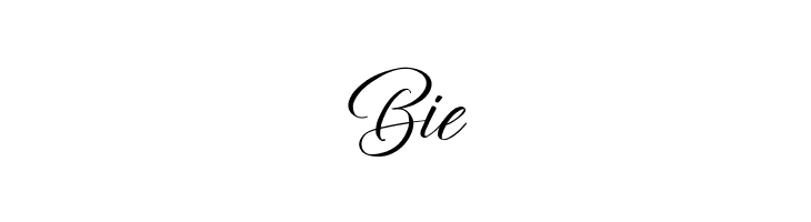 The Dragon on the Rock  Free Fonts Download