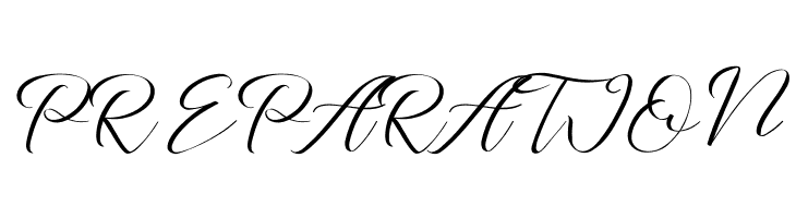 The Dragon on the Rock  Free Fonts Download