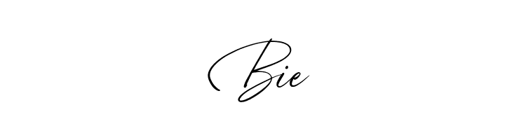 High Spirited  Free Fonts Download