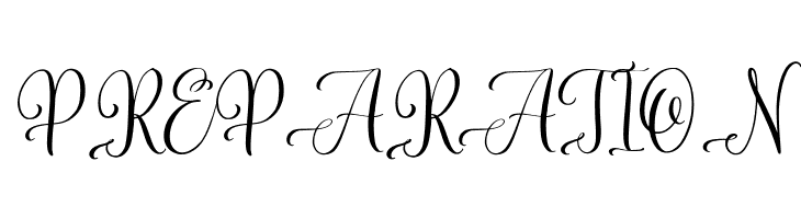 The Beautiful Secret  Free Fonts Download