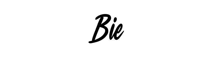 Fashion Drunk  Free Fonts Download