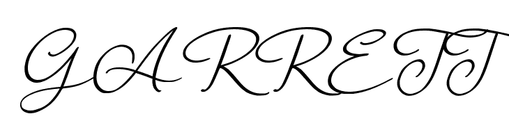 FlourishOrchestralBold  Free Fonts Download