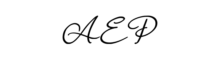 FlourishOrchestralExtraBold  Free Fonts Download