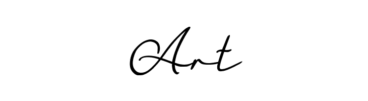 FlourishOrchestralExtraBold  Free Fonts Download