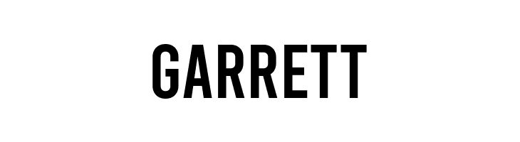 Bebas Regular  Free Fonts Download