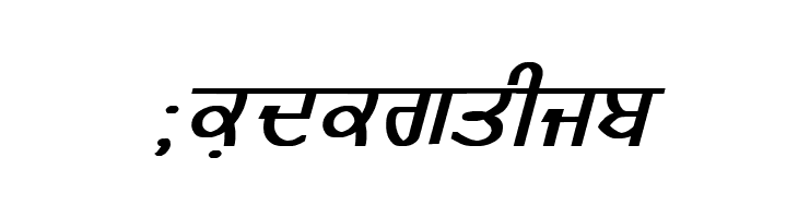 GurmukhiLys 020 Bold Italic  Free Fonts Download