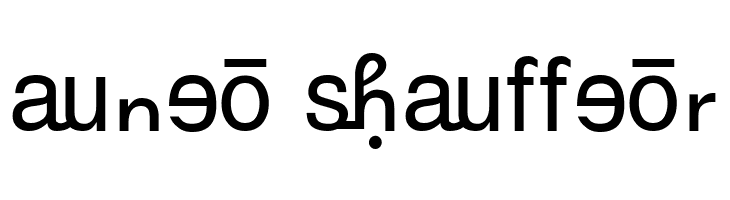 GurbaniRomanizing  Free Fonts Download