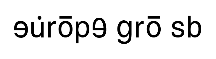 GurbaniRomanizing  Free Fonts Download