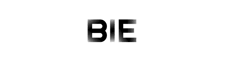 Noisy Walk Regular  Free Fonts Download