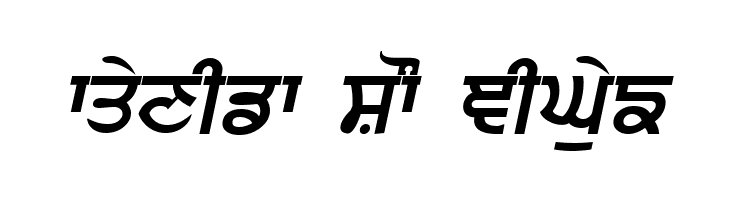 Punjabi  Bold Italic  Free Fonts Download