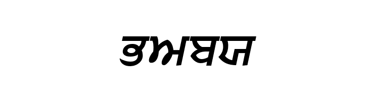 Punjabi  Bold Italic  Free Fonts Download