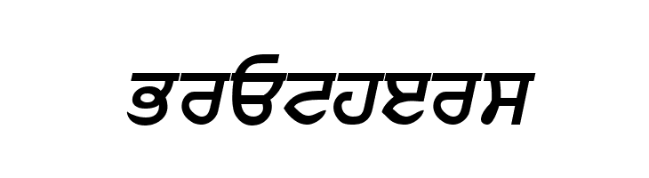 Punjabi  Bold Italic  Free Fonts Download