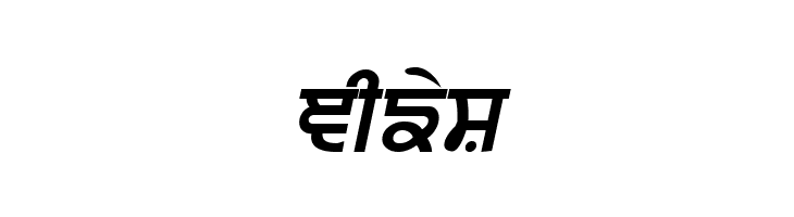 Punjabi  Bold Italic  Free Fonts Download