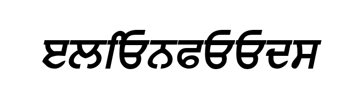 Punjabi  Bold Italic  Free Fonts Download