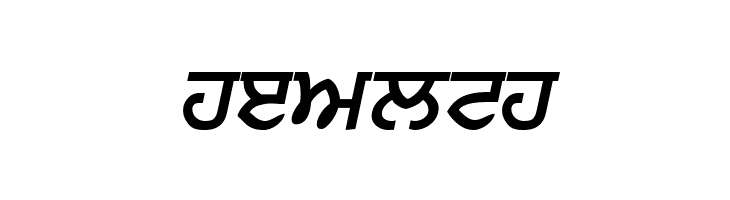 Punjabi  Bold Italic  Free Fonts Download