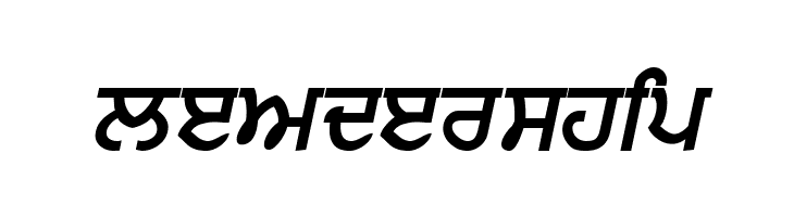 Punjabi  Bold Italic  Free Fonts Download
