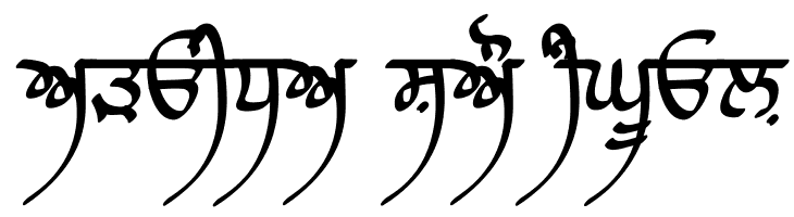 Raaj Script Medium  Free Fonts Download