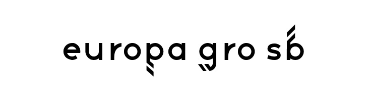 Street Intruder Book Regular  Free Fonts Download