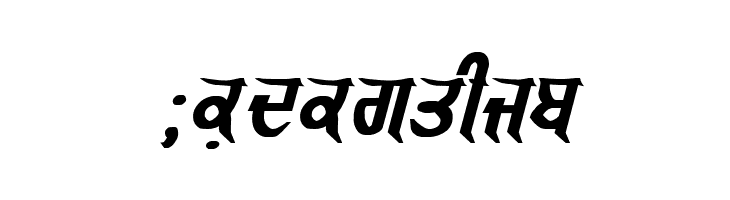 GurmukhiLys 040 Bold Italic  Free Fonts Download