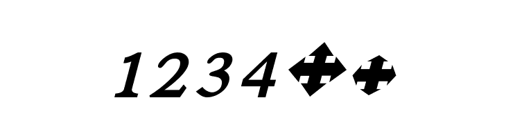 Satluj BoldItalic  Free Fonts Download