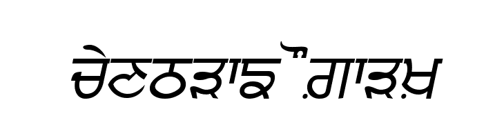 Punjabi  Italic  Free Fonts Download