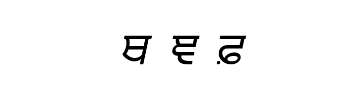 Punjabi  Italic  Free Fonts Download