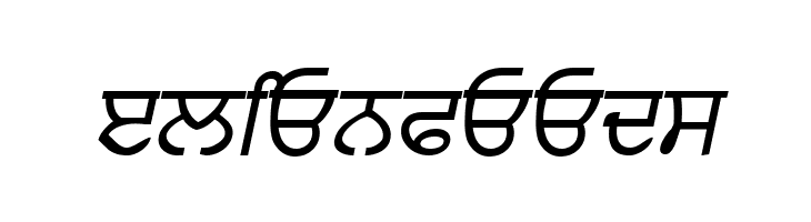 Punjabi  Italic  Free Fonts Download
