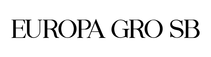 Cyber Hashtags Regular  Free Fonts Download