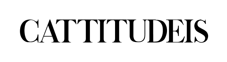 Breaking News Regular  Free Fonts Download