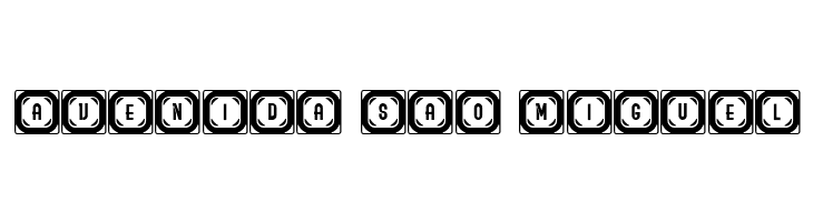 Ordinary Capitals Thin Regular  Free Fonts Download