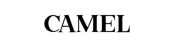 Best Vibes Regular  Free Fonts Download