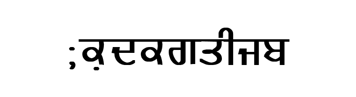 GurmukhiLys 020 Bold  Free Fonts Download