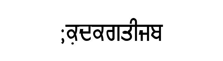 GurmukhiLys 010  Free Fonts Download