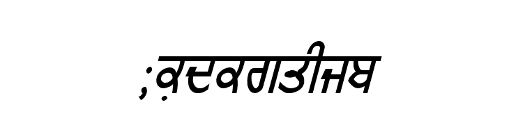 GurmukhiLys 010 Italic  Free Fonts Download