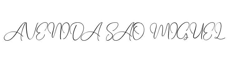 Seattle Script Demo  Free Fonts Download