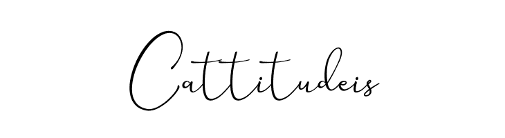 Seattle Script Demo  Free Fonts Download