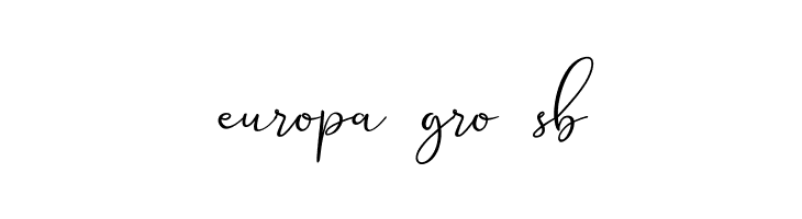 Seattle Script Demo  Free Fonts Download