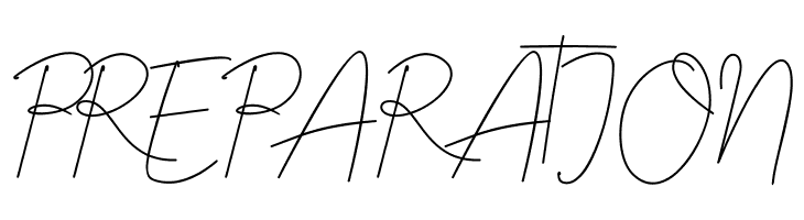 Bristine Signature Demo  Free Fonts Download