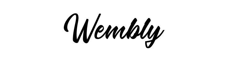 The Micrander  Free Fonts Download