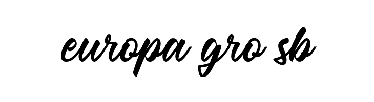 The Micrander  Free Fonts Download