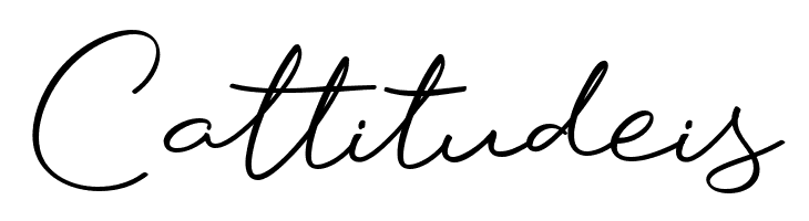 Bohemian Cassidy Free Regular  Free Fonts Download