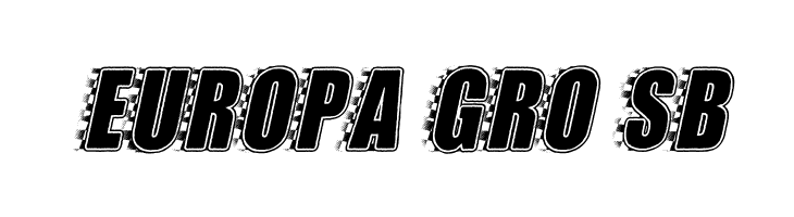 STOCKCAR PERSONAL USE Bold Italic  Free Fonts Download